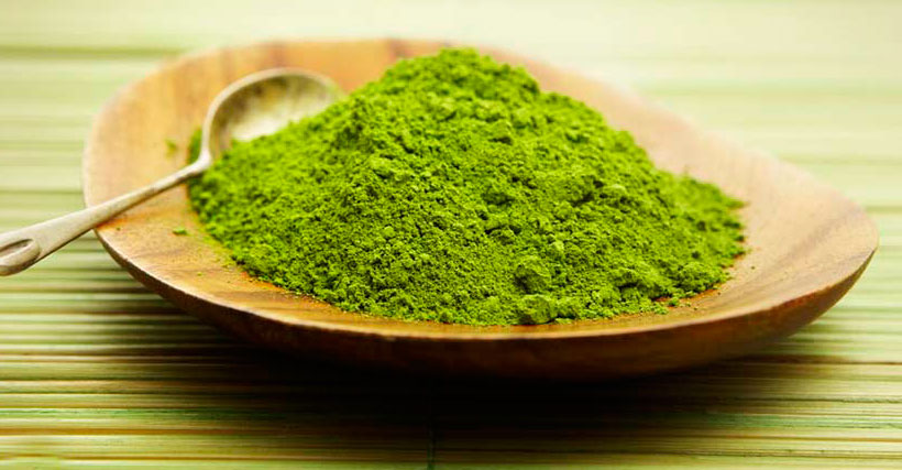BIO Matcha in polvere (tè verde) - calma e concentrazione, 100 g 